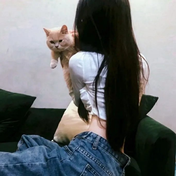 弗里敦